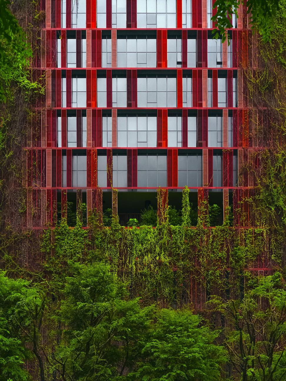 Forest Edge Retreat