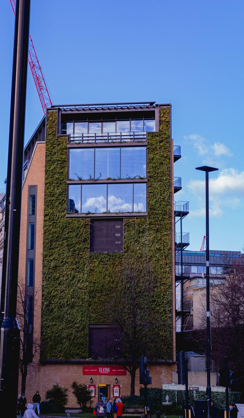 Kingsley Commons
