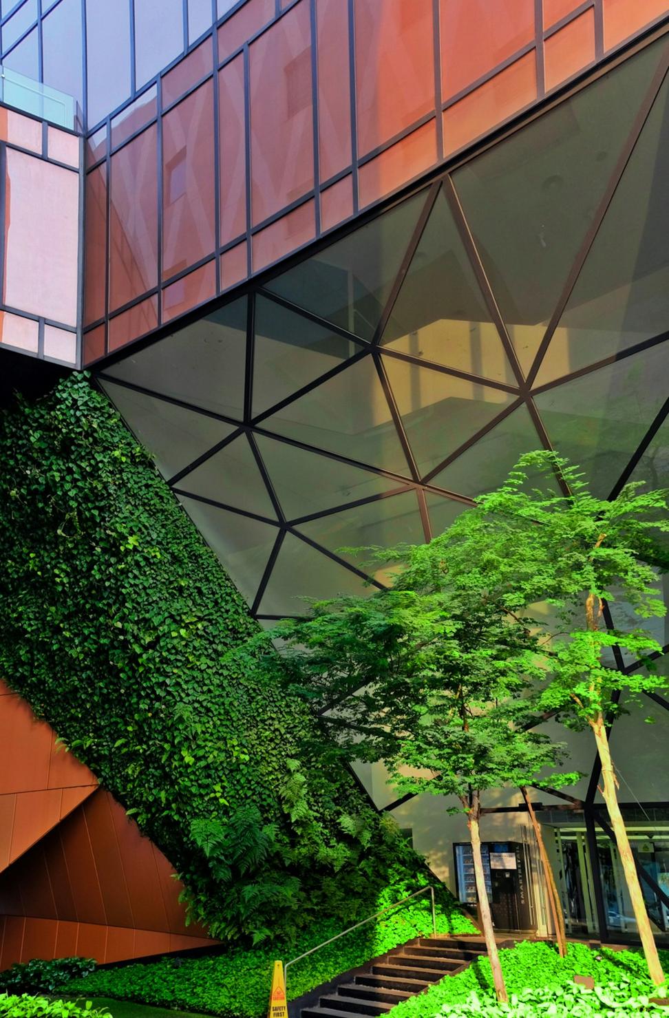 Maple Leaf Market